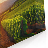 Vineyard Canvas Print - Vibrant Vineyard Sunset Art for Wine Country Decor