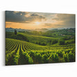 Vineyard Canvas Print - Sunlit Vineyard Landscape for Elegant Home Decor