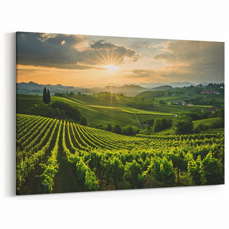 Vineyard Canvas Print - Sunlit Vineyard Landscape for Elegant Home Decor