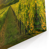 Vineyard Canvas Print - Golden Sunset Over Vineyard for Tranquil Decor