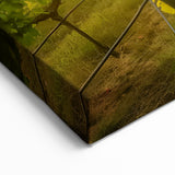 Vineyard Canvas Print - Golden Sunset Over Vineyard for Tranquil Decor