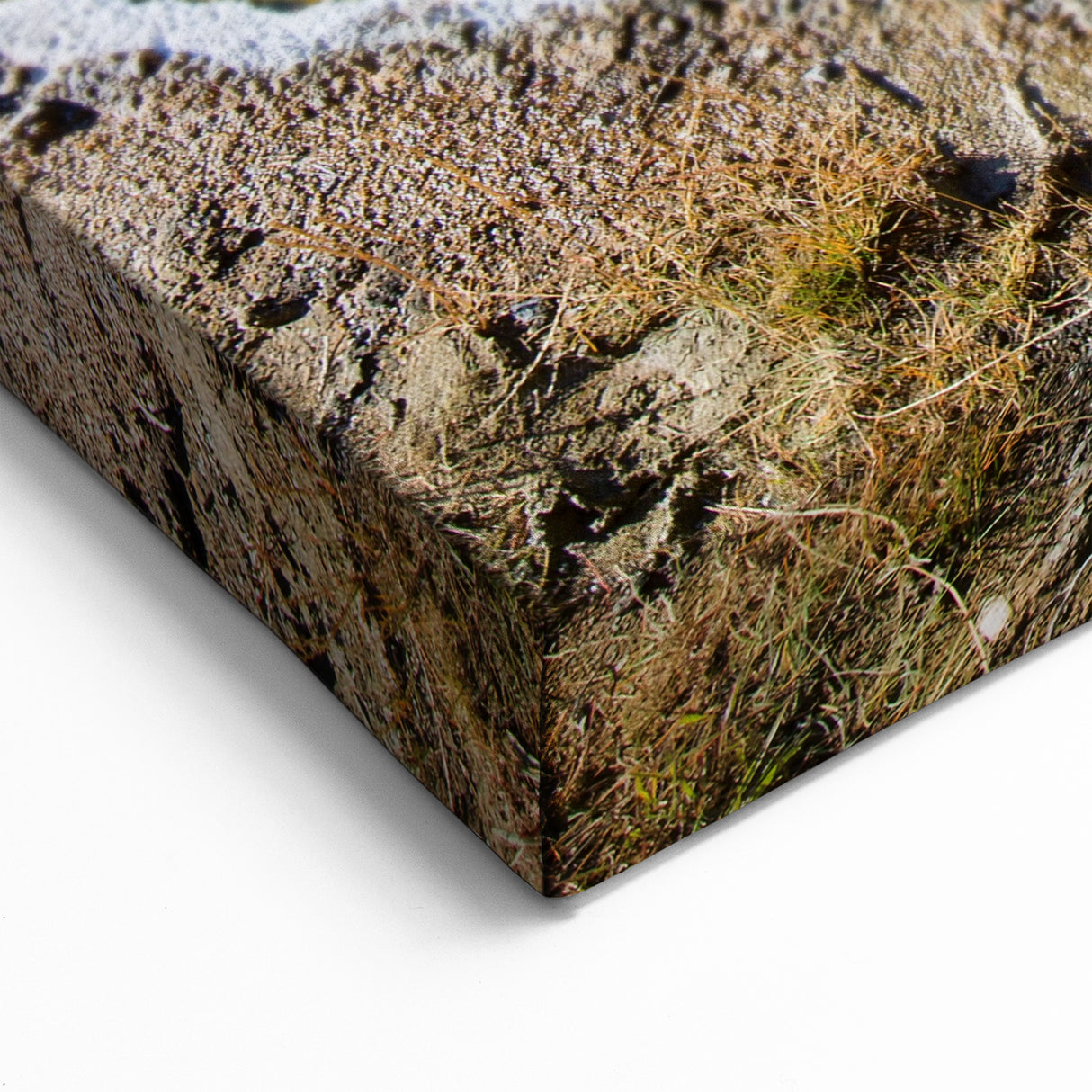 Golden Hot Spring Canvas Print - Nature's Beauty Hot Spring Wall Art