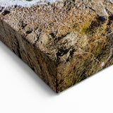 Golden Hot Spring Canvas Print - Nature's Beauty Hot Spring Wall Art