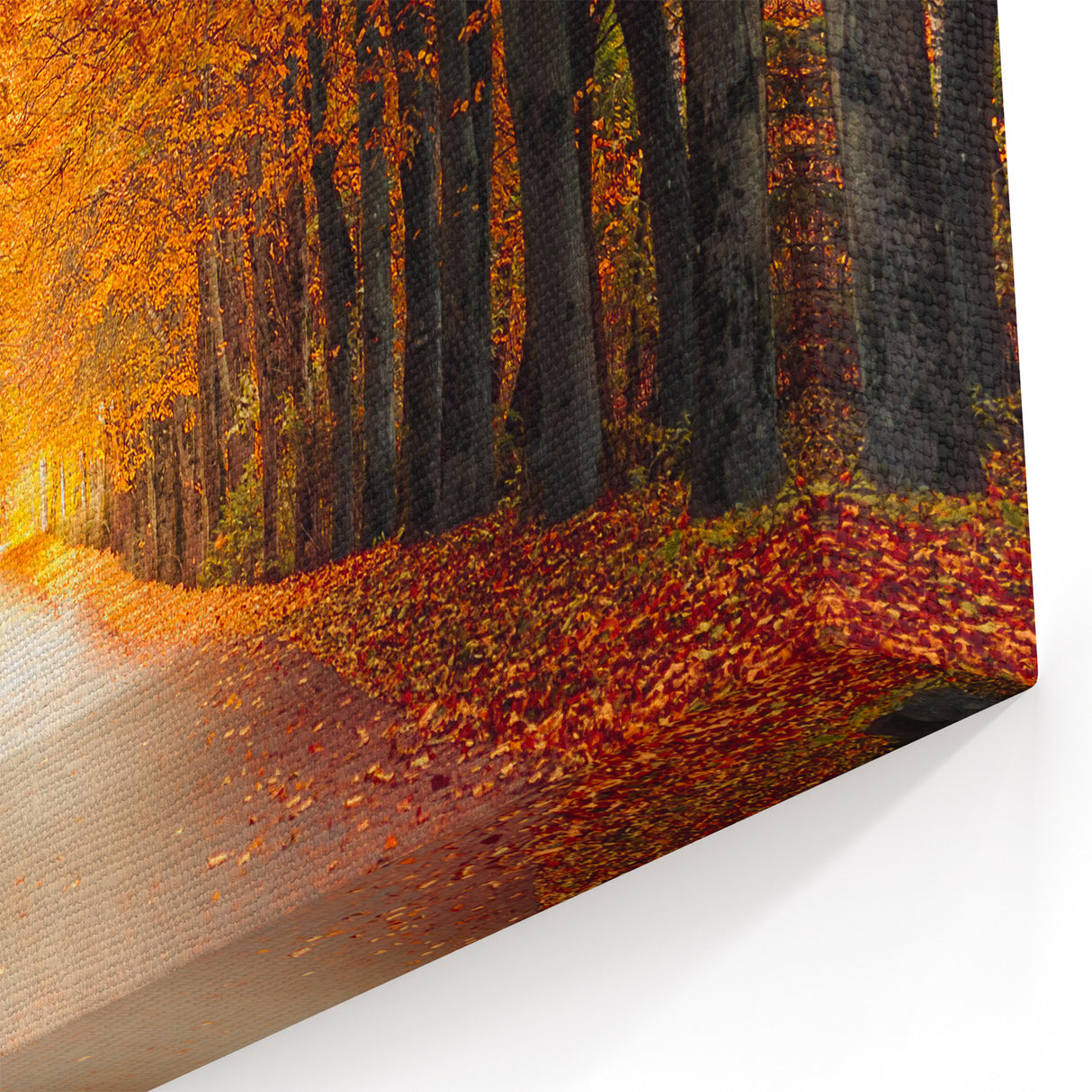 Autumn Forest Road Art - Scenic Fall Pathway Canvas - Nature Wall Decor