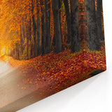 Autumn Forest Road Art - Scenic Fall Pathway Canvas - Nature Wall Decor
