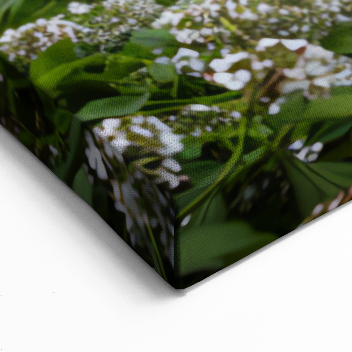 Charming Watermill Canvas Print - Lush Green Landscape Wall Art