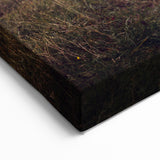 Abandoned Caravan in Overgrown Field - Rustic Adventure Wall Art Print