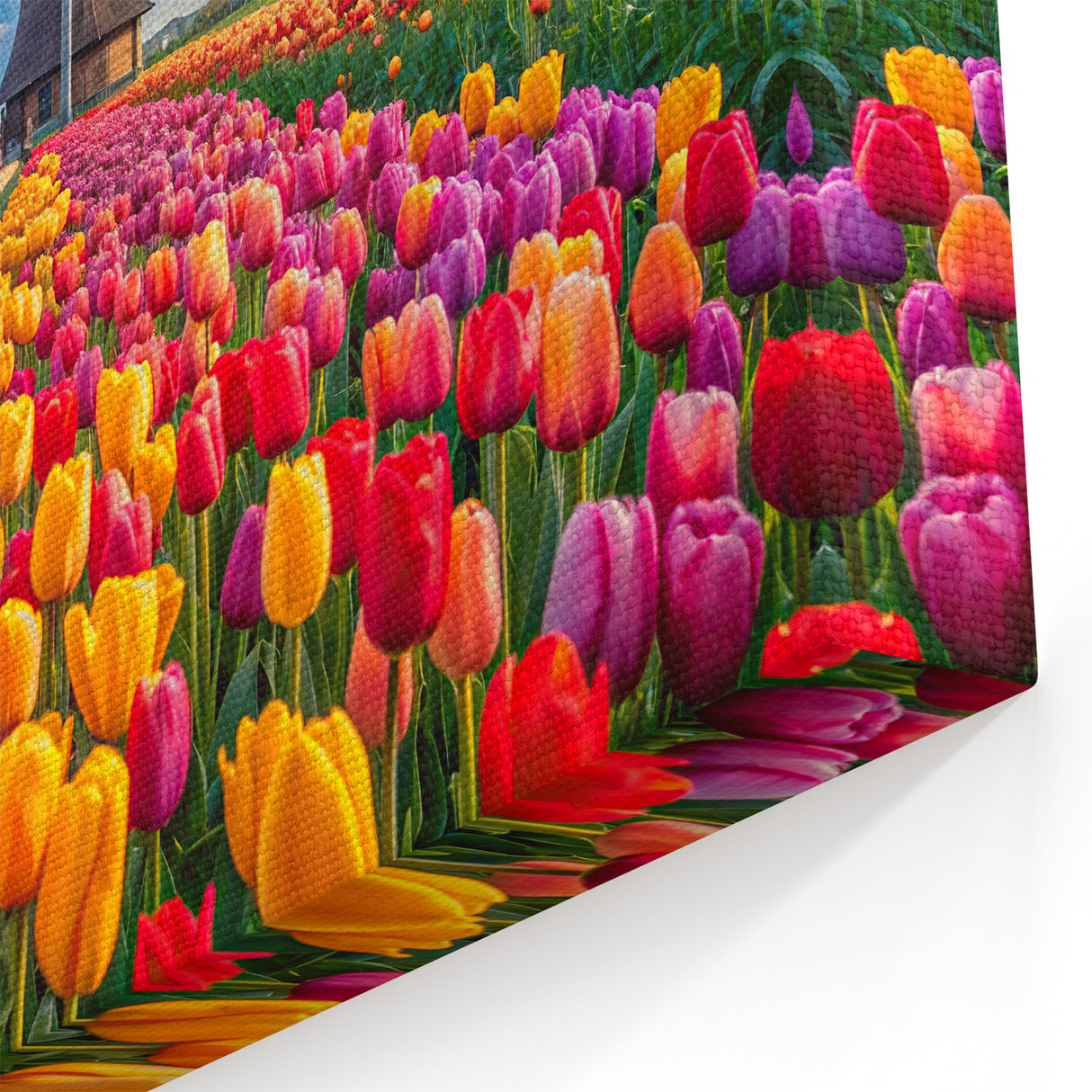 Colorful Tulip Field and Windmill Wall Art - Vibrant Dutch Canvas Print