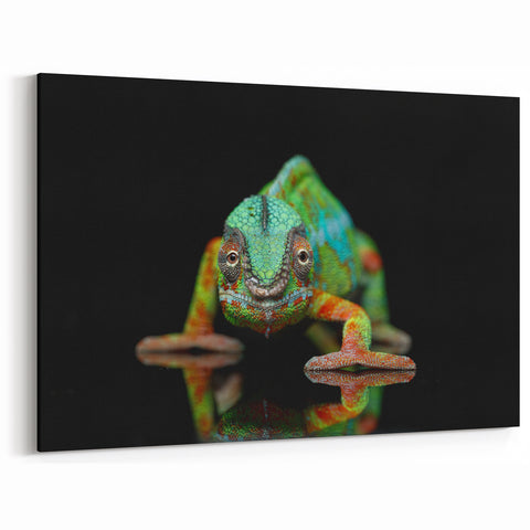 Vibrant Chameleon Wall Art - Reptile Decor for Nature Lovers