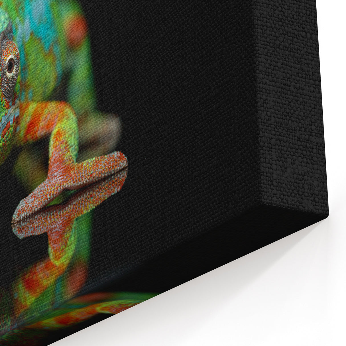 Vibrant Chameleon Wall Art - Reptile Decor for Nature Lovers