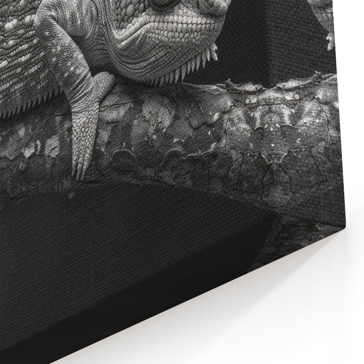 Monochrome Chameleon Wall Art - Black and White Reptile Canvas Print