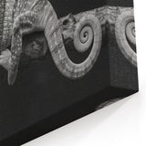 Black and White Chameleon Wall Art - Monochrome Reptile Canvas Print