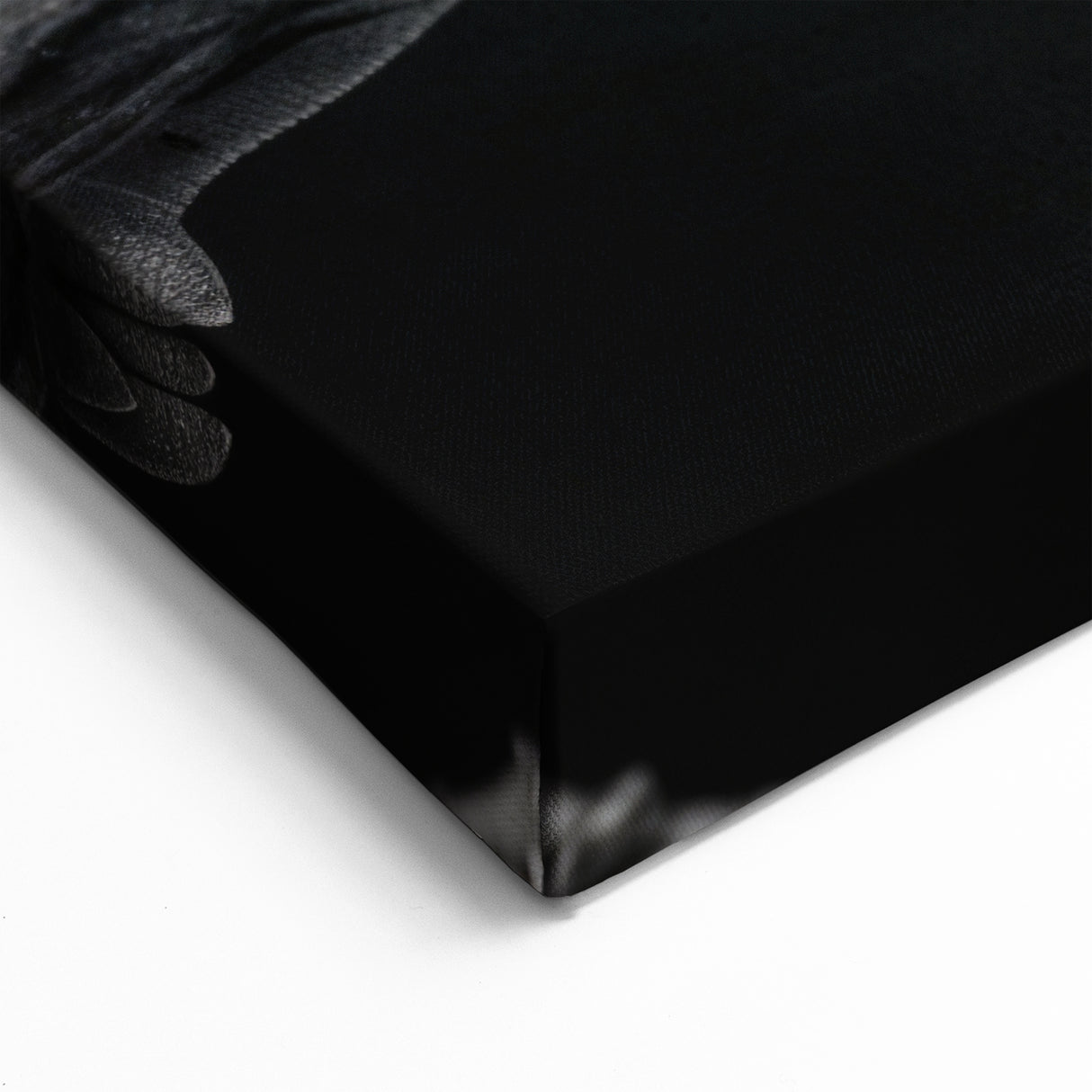 Black and White Chameleon Wall Art - Monochrome Reptile Canvas Print