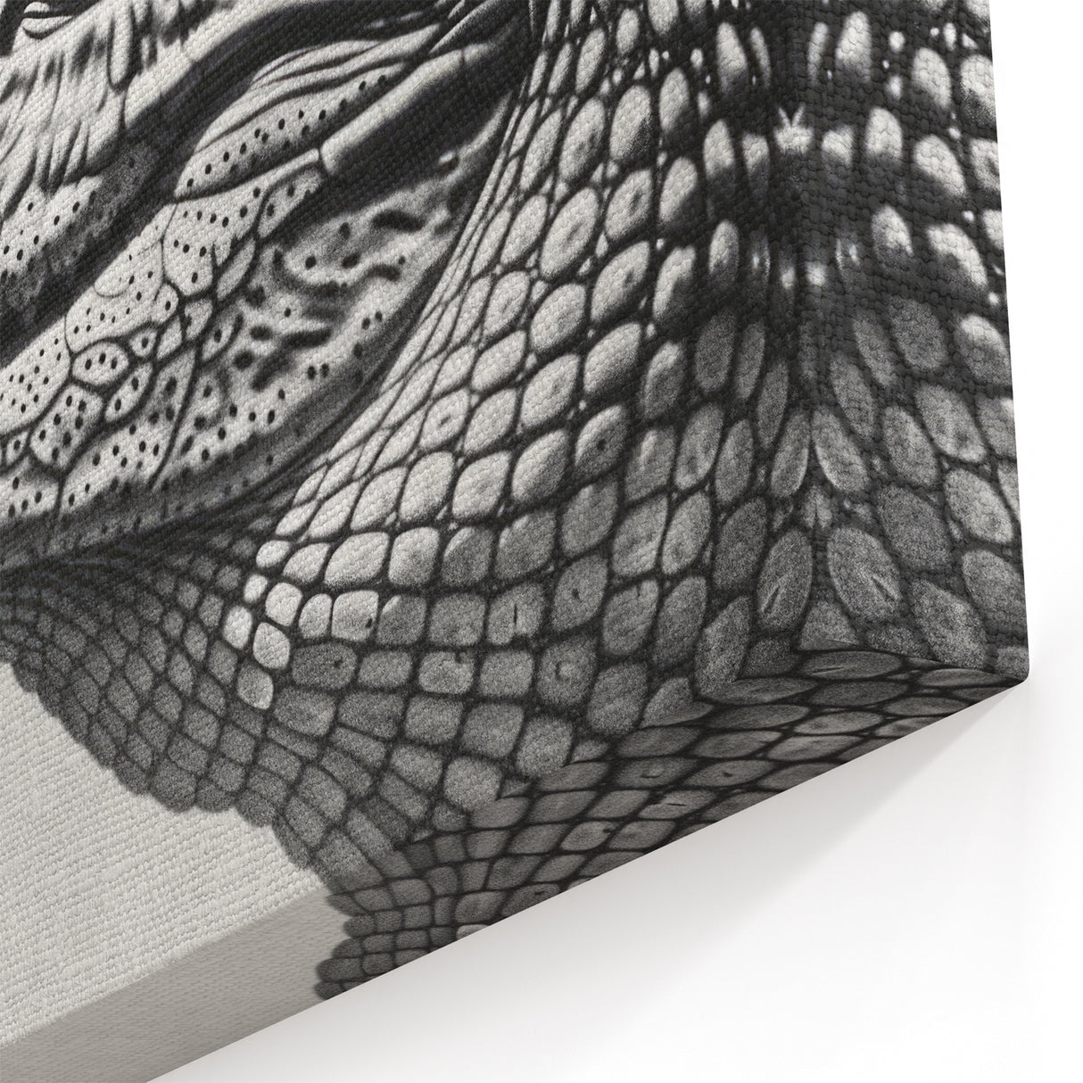 Monochrome Crocodile Portrait - Gator Wall Art for Stylish Decor