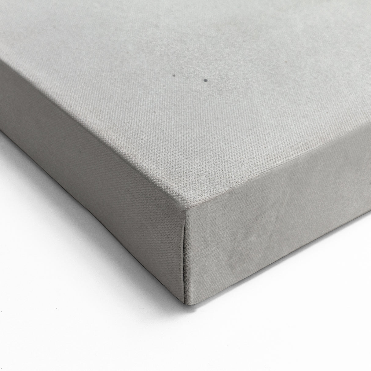 Monochrome Crocodile Portrait - Gator Wall Art for Stylish Decor