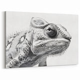Monochrome Chameleon Wall Art - Black and White Reptile Canvas Print