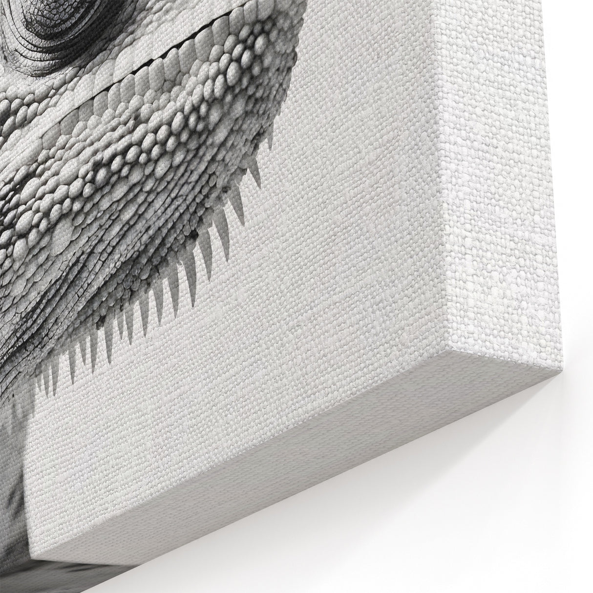 Monochrome Chameleon Wall Art - Black and White Reptile Canvas Print