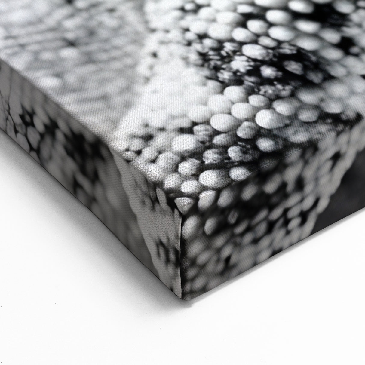 Monochrome Chameleon Wall Art - Black and White Reptile Canvas Print