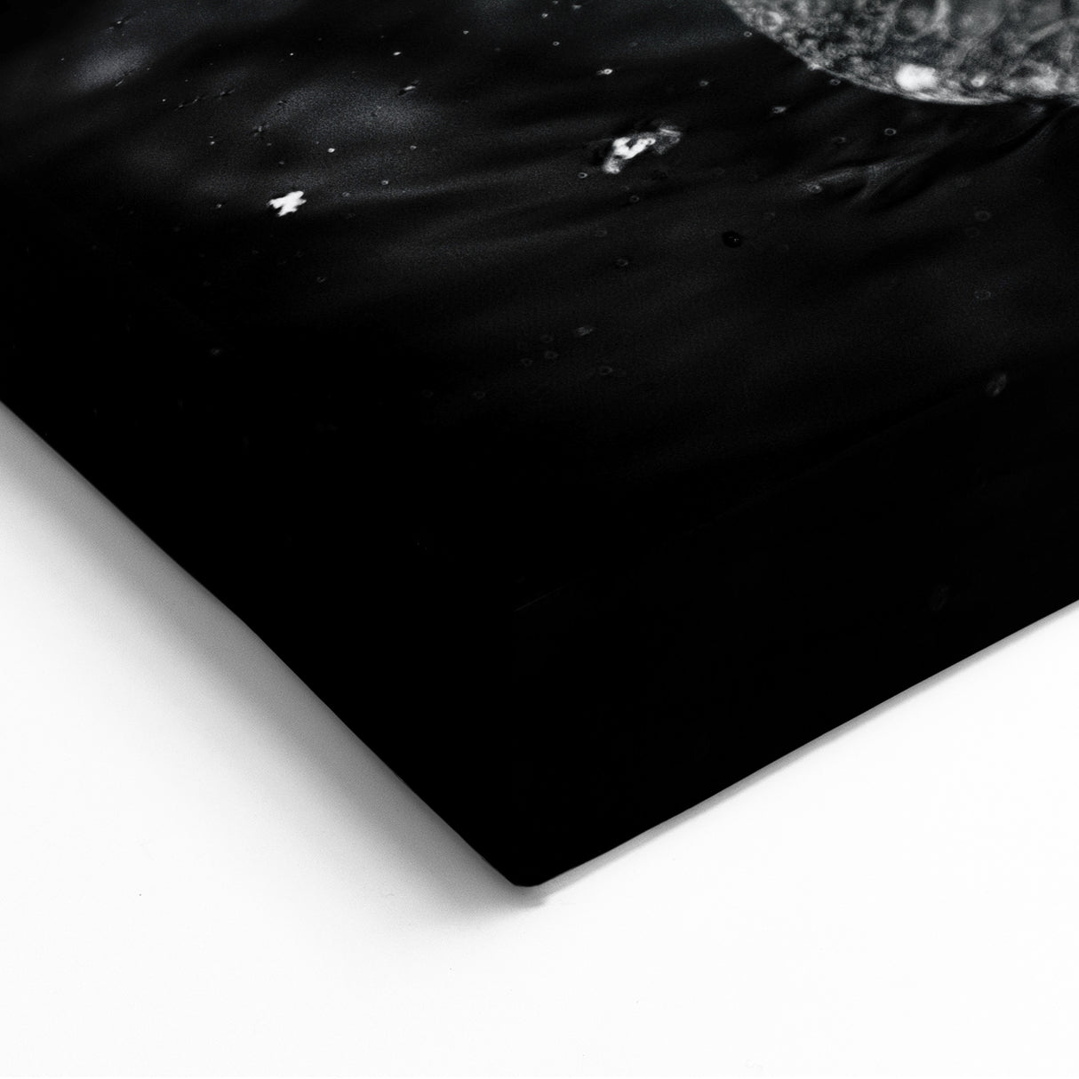 Majestic Gator Wall Art - Crocodile Canvas Print for Wildlife Decor