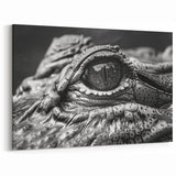 Crocodile Eye Close-Up - Gator Wall Art for Wildlife Decor