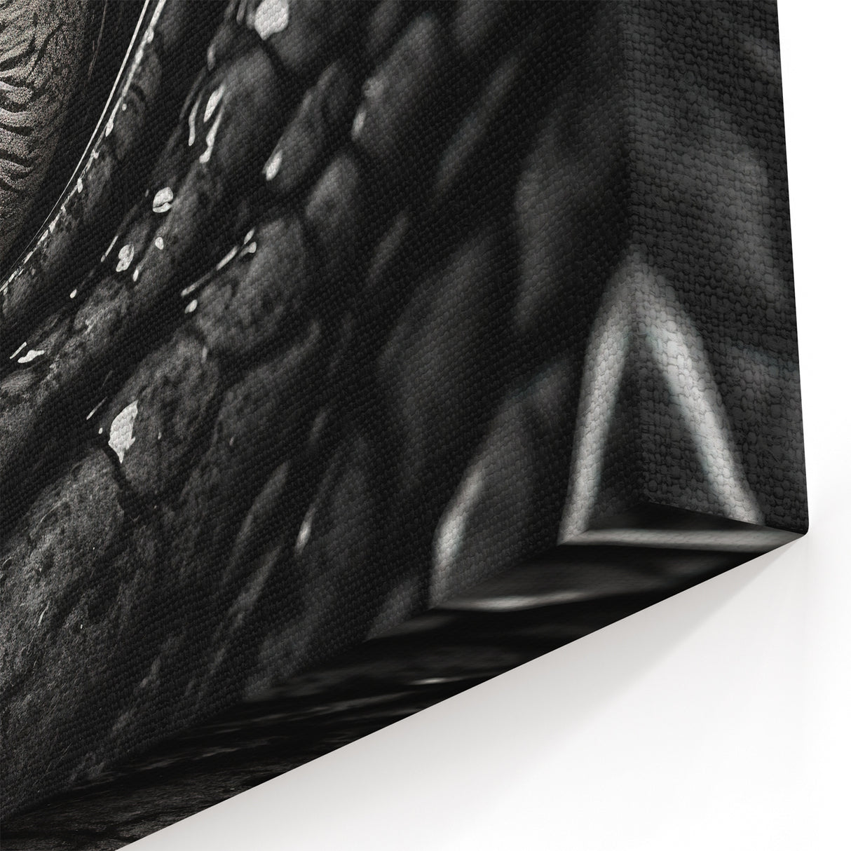 Alligator Eye Detail - Gator Canvas Art for Reptile Lovers