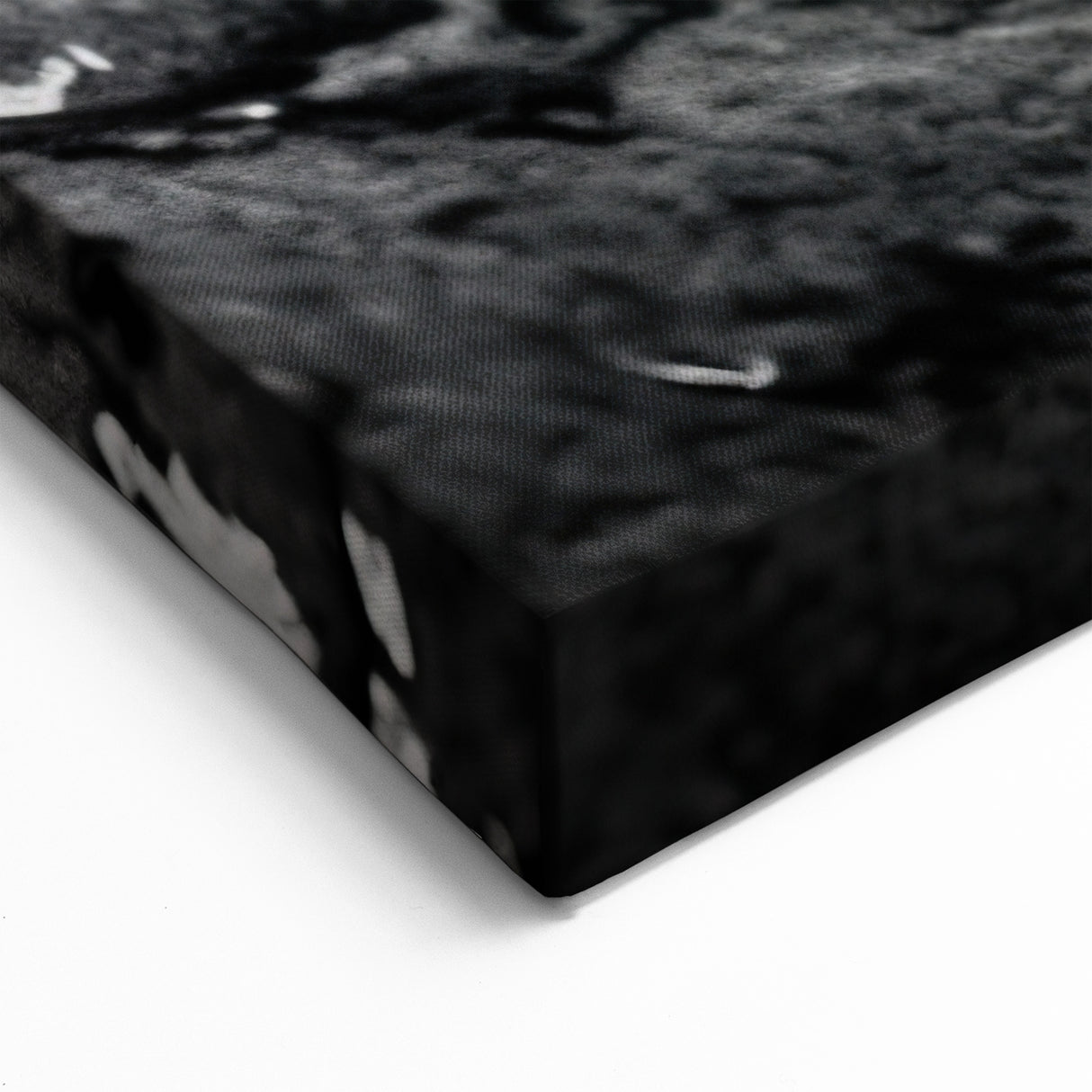 Alligator Eye Detail - Gator Canvas Art for Reptile Lovers