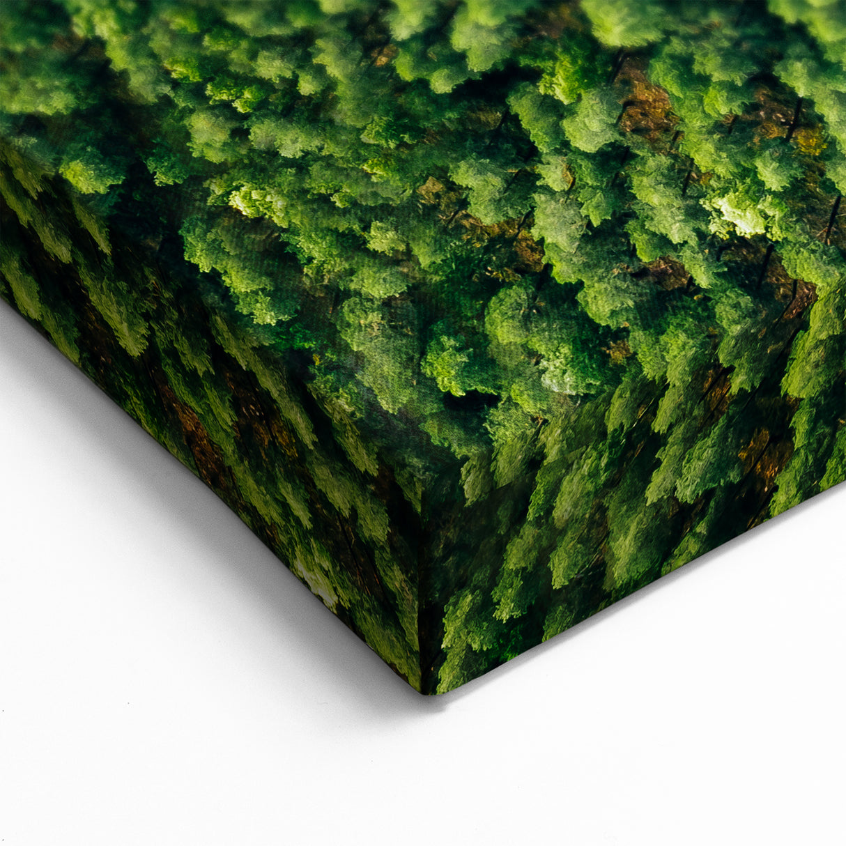 Scenic Forest Road Aerial Art - Serene Nature Drive Canvas - Green Decor