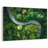 Curved Forest Road Art - Aerial Scenic Drive Canvas - Nature Wall Decor