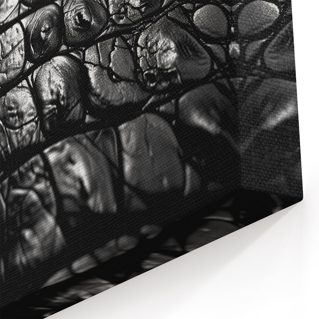 Crocodile Skin Texture - Gator Wall Art for Modern Interiors