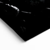 Crocodile Skin Texture - Gator Wall Art for Modern Interiors