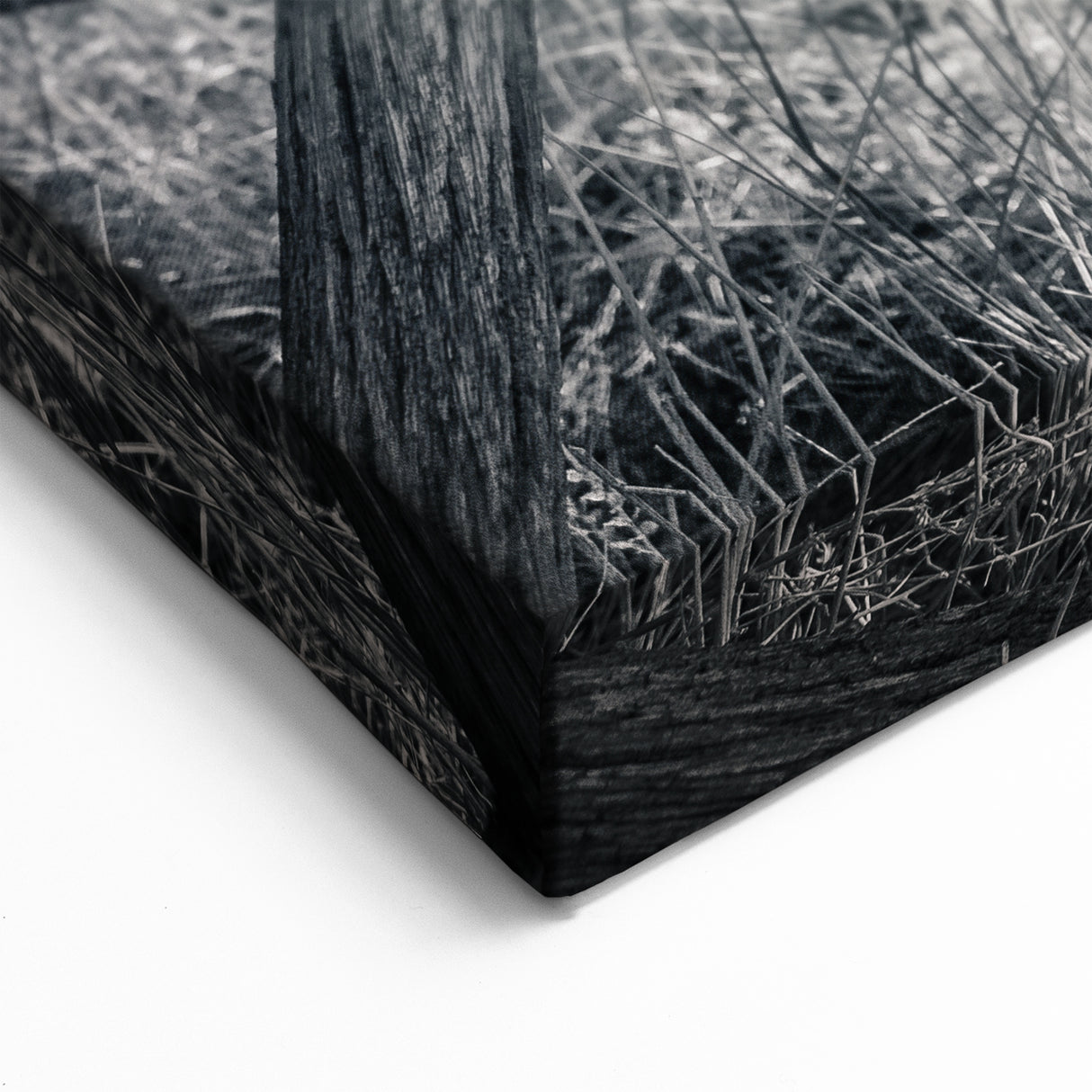 Service Vehicles Wall Art - Rustic Wagon Wheel Close-Up Monochrome Print