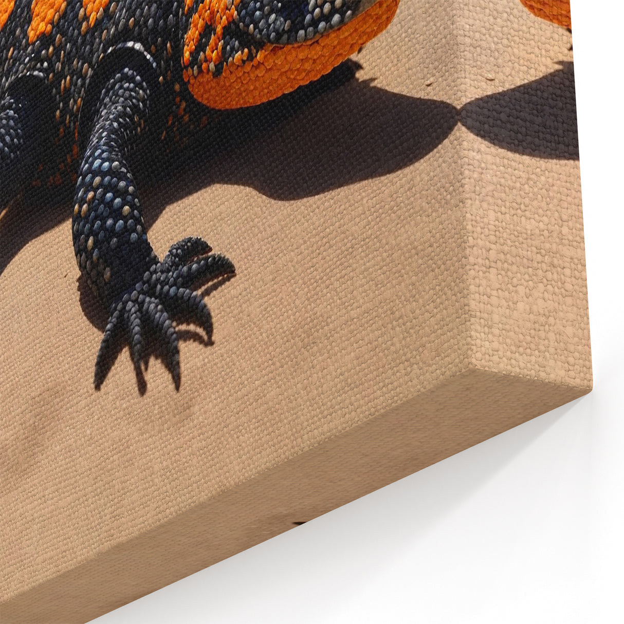 Striking Lizard Wall Art - Reptile and Desert Wildlife Canvas Decor
