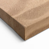 Striking Lizard Wall Art - Reptile and Desert Wildlife Canvas Decor