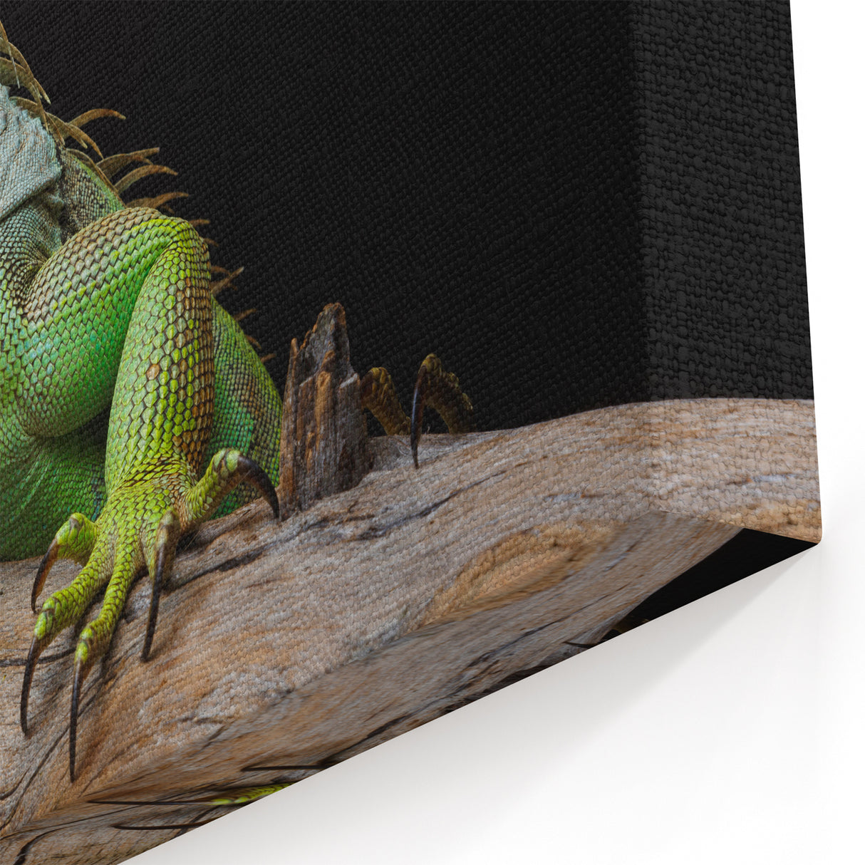 Majestic Lizard Wall Art Reptile-Themed Canvas Print for Wildlife Decor