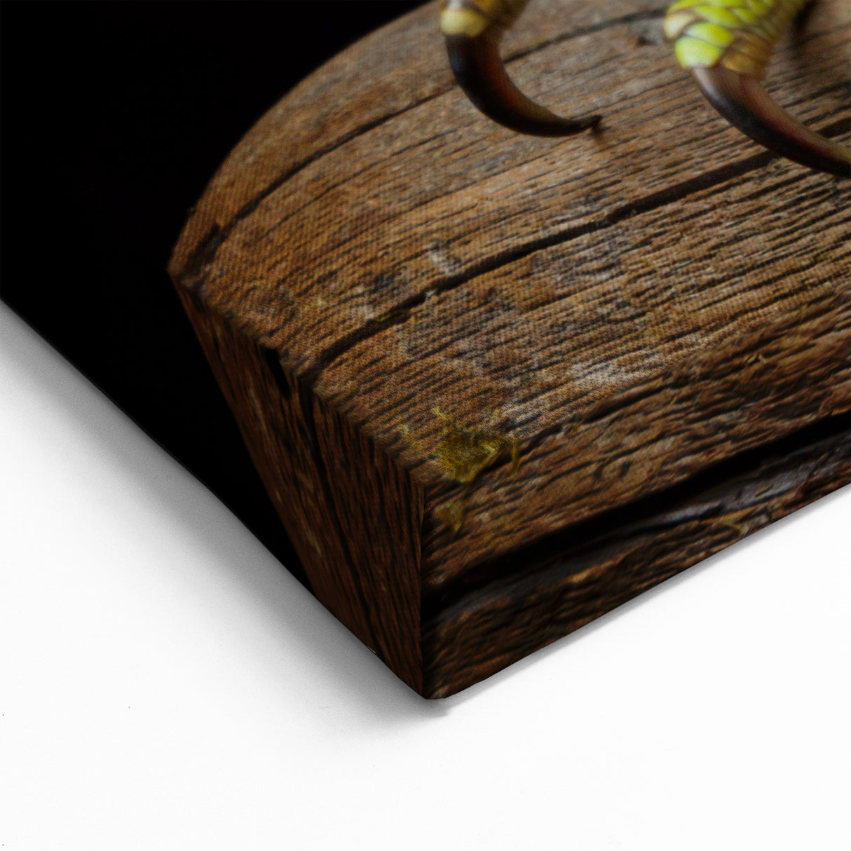 Majestic Lizard Wall Art Reptile-Themed Canvas Print for Wildlife Decor