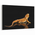 Golden Lizard Wall Art Reptile Canvas Print for Wildlife-Themed Decor