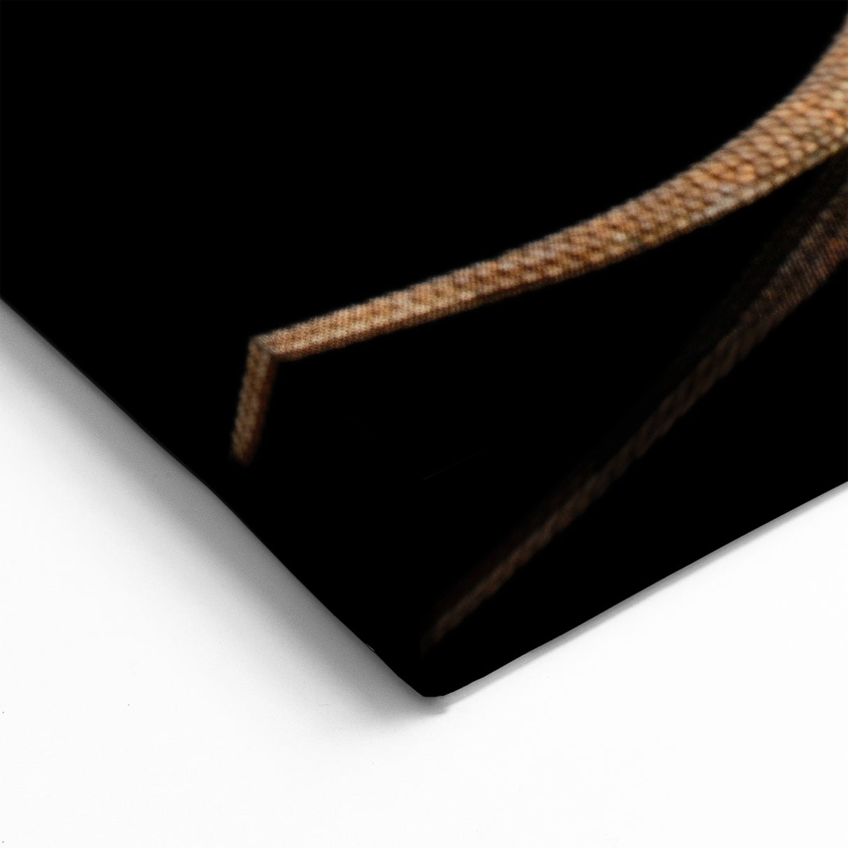 Golden Lizard Wall Art Reptile Canvas Print for Wildlife-Themed Decor