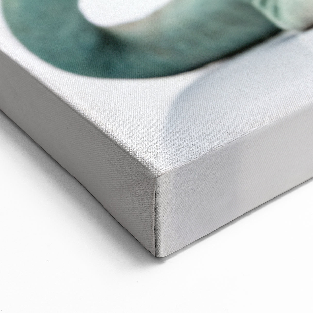 Vibrant Lizard Wall Art - Reptile and Wildlife Canvas Print Decor