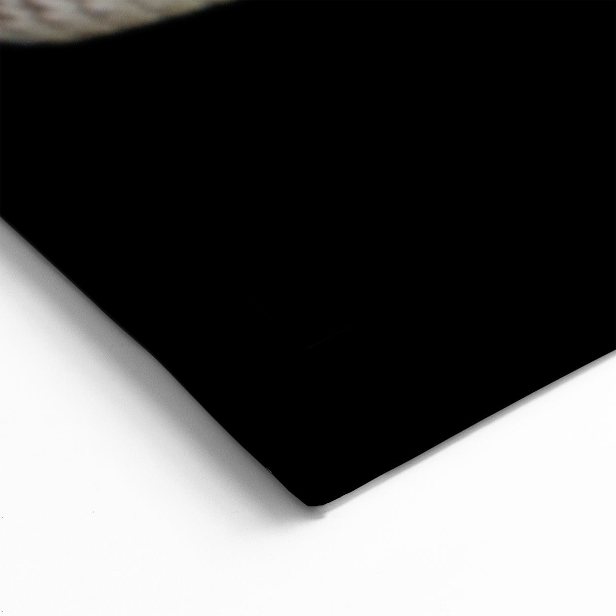 Majestic Snake Wall Art - Reptile and Serpent Canvas Print for Wildlife Lovers