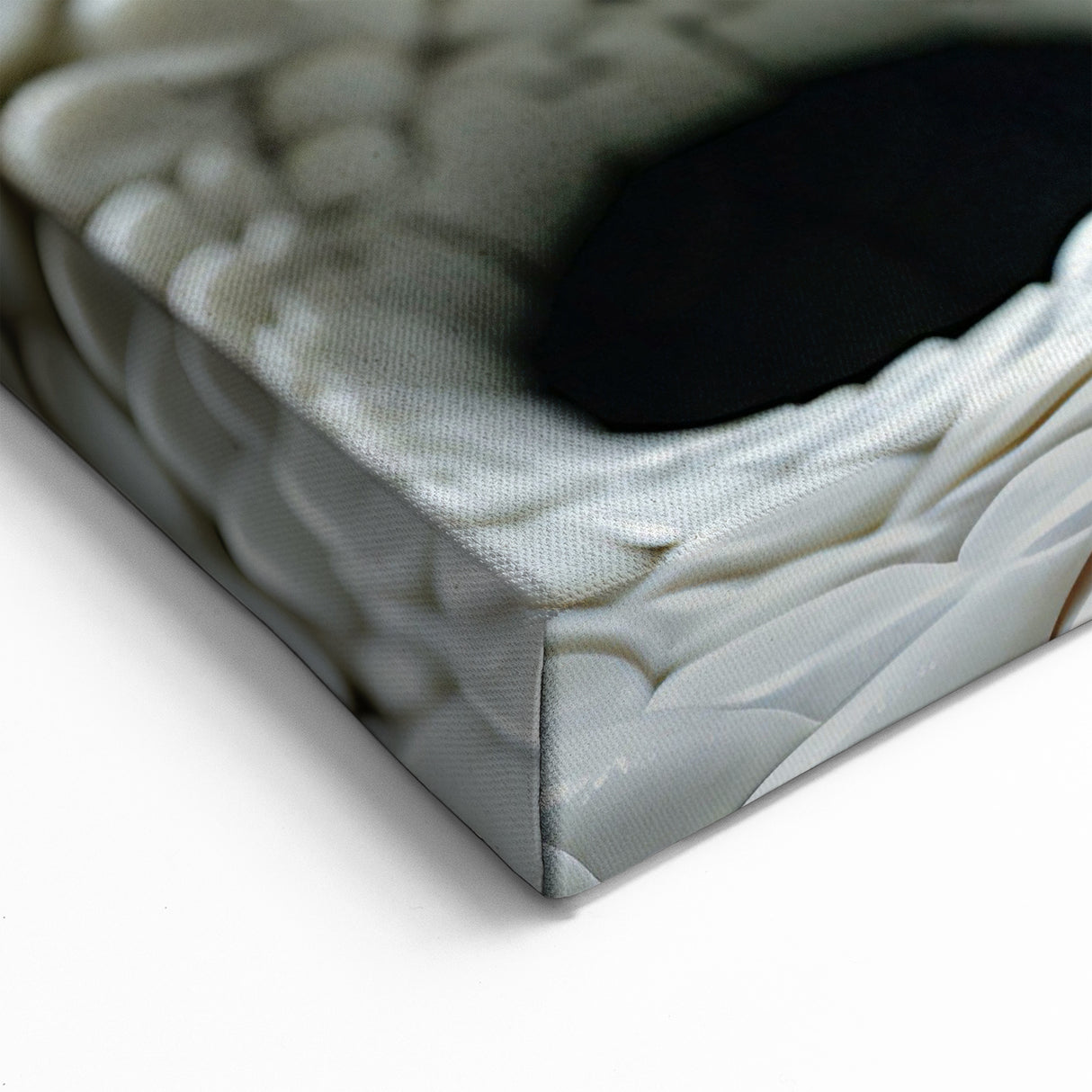 Striking Black & White Snake Wall Art - Serpent Canvas Print Decor