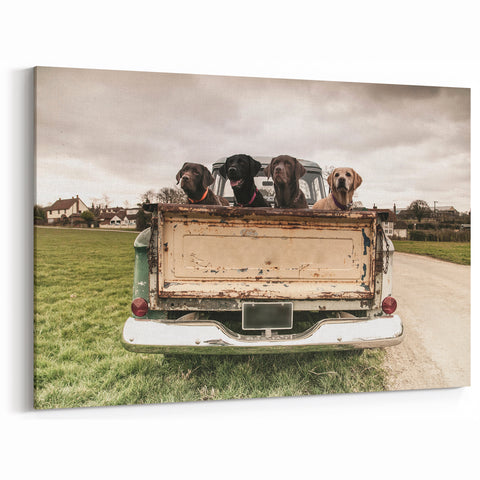 Vintage Truck with Dogs Wall Art - Classic Rustic Truck Photography Print