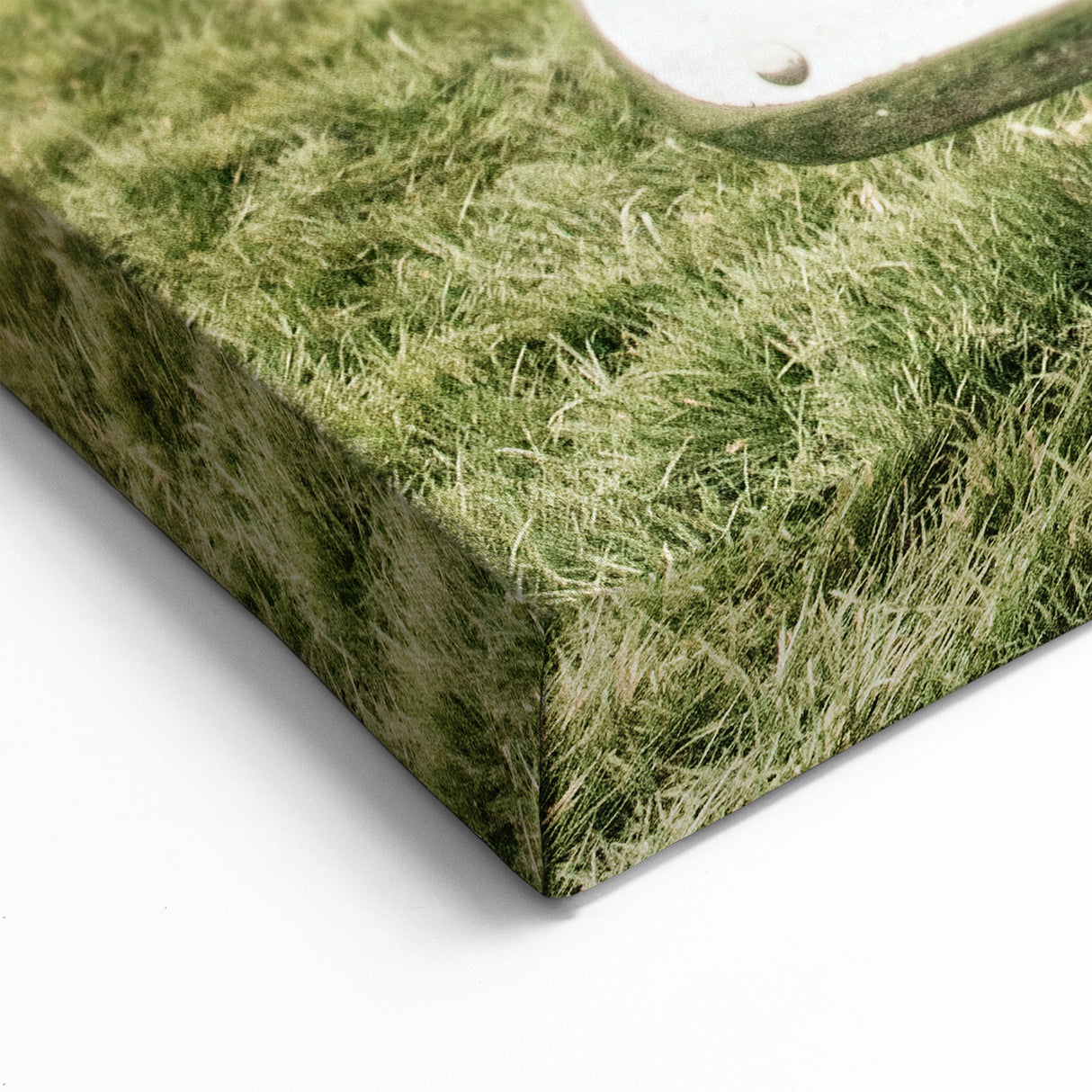 Vintage Truck with Dogs Wall Art - Classic Rustic Truck Photography Print