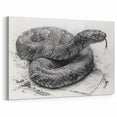 Detailed Snake Illustration Wall Art - Serpent Canvas Print for Nature Lovers
