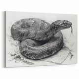 Detailed Snake Illustration Wall Art - Serpent Canvas Print for Nature Lovers