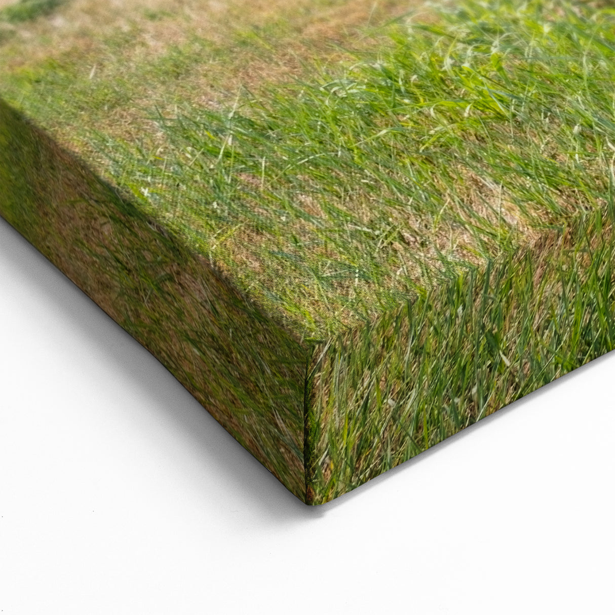 Rustic Farm Truck and Barn - Vintage Country Truck Wall Art Print