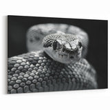Monochrome Snake Wall Art - Serpent Canvas Print for Minimalist Decor