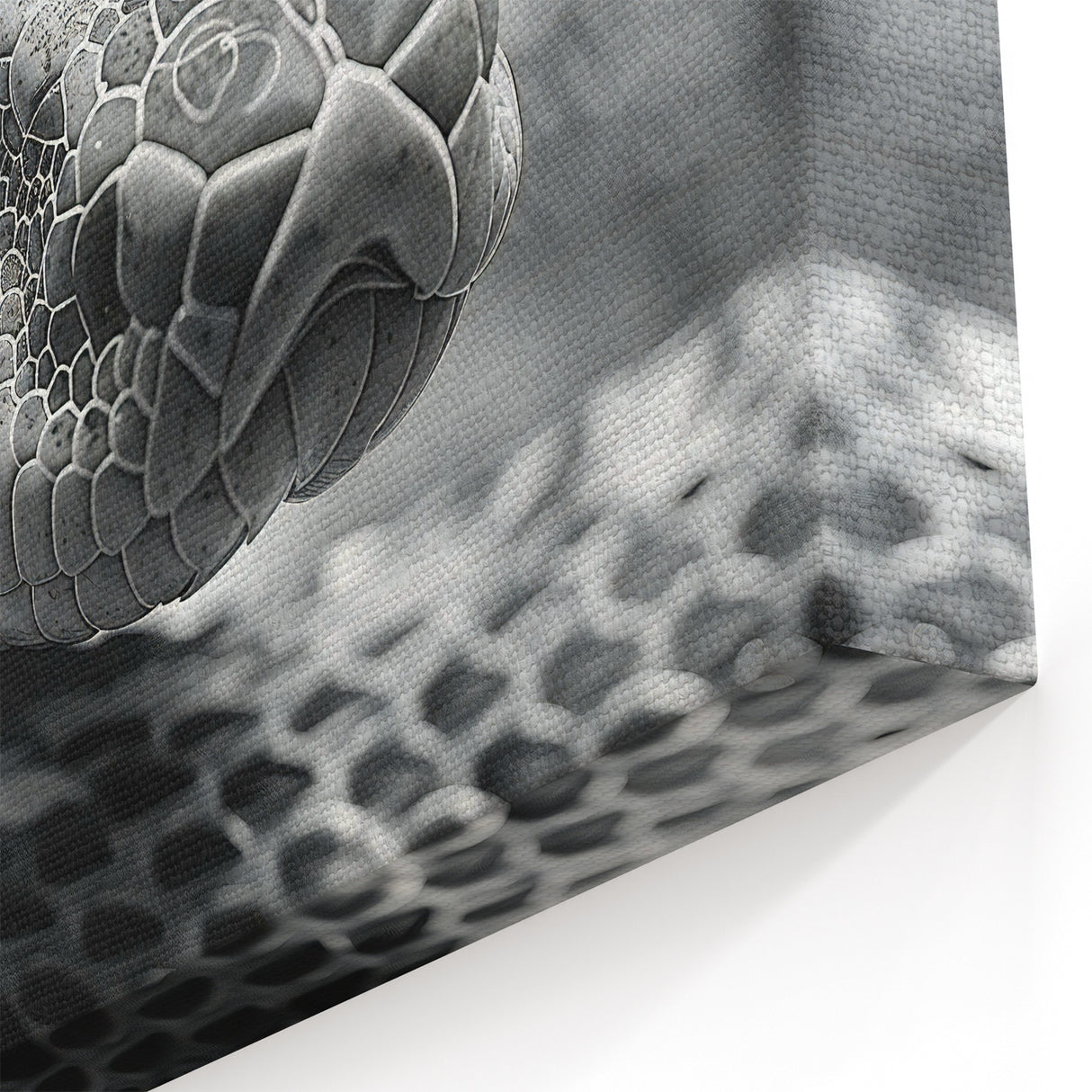 Textured Snake Wall Art - Serpent Canvas Print for Contemporary Decor