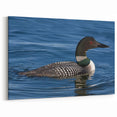 Majestic Loon Wall Art - Stunning Loon Canvas Print for Nature Lovers