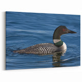 Majestic Loon Wall Art - Stunning Loon Canvas Print for Nature Lovers