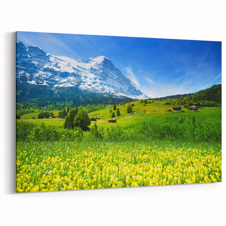Vibrant Mountain Valley Wall Art - Scenic Alpine Meadow Canvas Print